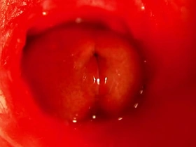 蜜穴里的淫荡高潮呻吟 chinese clover yaoi gay porn